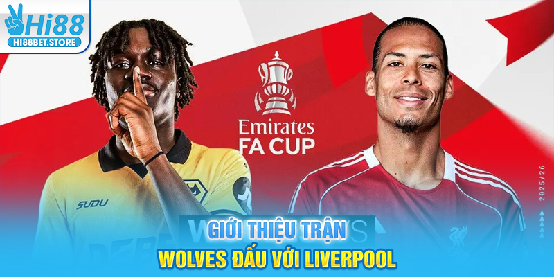 Giới thiệu trận Wolves đấu với Liverpool